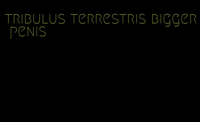 tribulus terrestris bigger penis