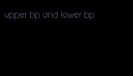 upper bp and lower bp