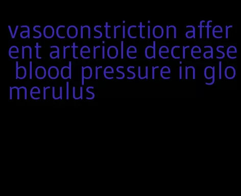 vasoconstriction afferent arteriole decrease blood pressure in glomerulus