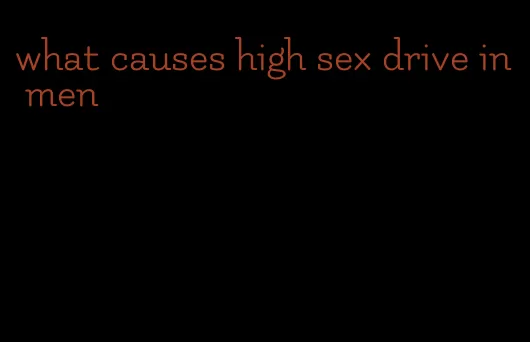 what causes high sex drive in men