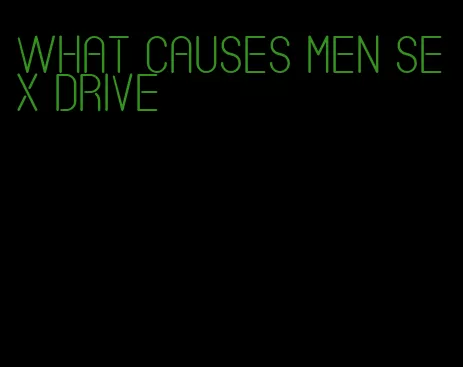 what causes men sex drive