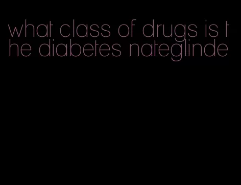 what class of drugs is the diabetes nateglinde