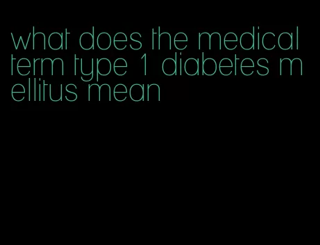what does the medical term type 1 diabetes mellitus mean