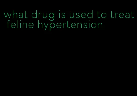 what drug is used to treat feline hypertension