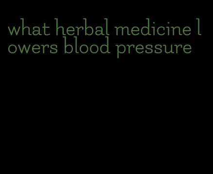 what herbal medicine lowers blood pressure