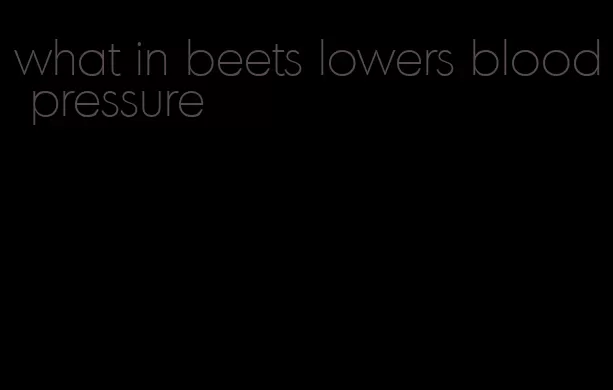 what in beets lowers blood pressure