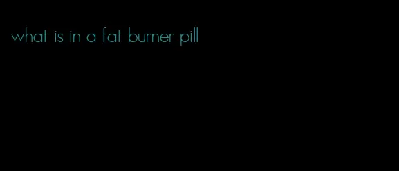 what is in a fat burner pill