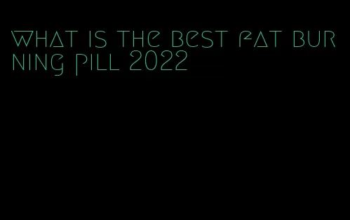 what is the best fat burning pill 2022