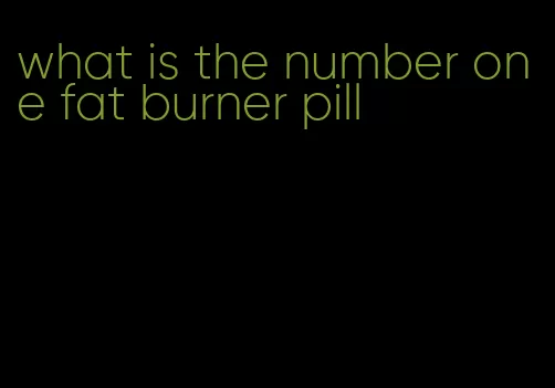 what is the number one fat burner pill