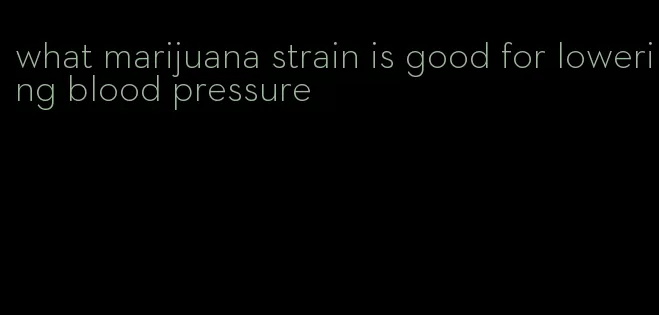 what marijuana strain is good for lowering blood pressure