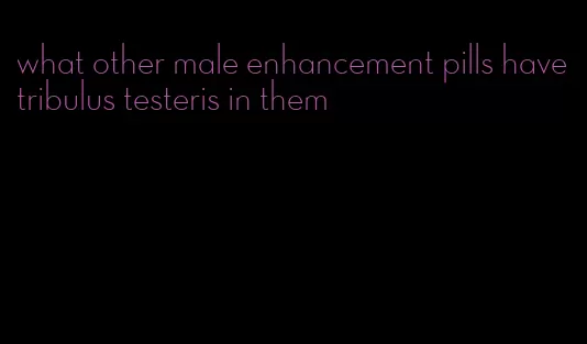 what other male enhancement pills have tribulus testeris in them