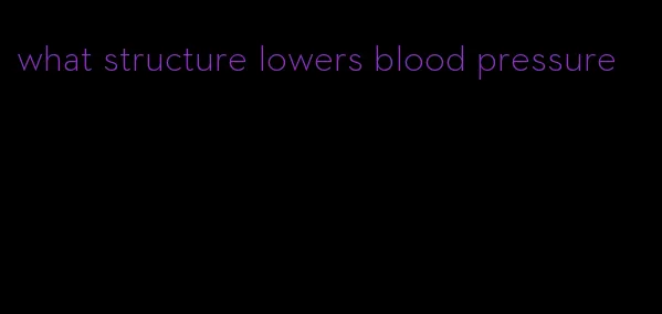 what structure lowers blood pressure