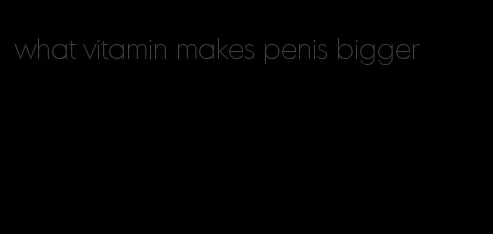 what vitamin makes penis bigger