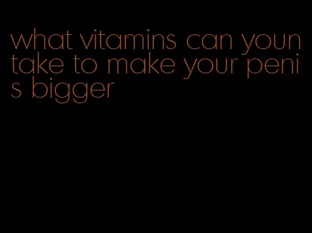 what vitamins can yountake to make your penis bigger