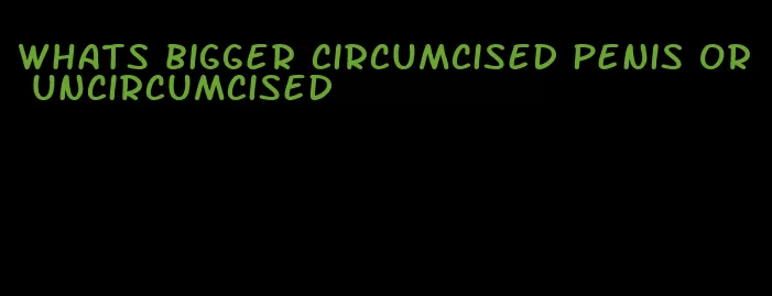 whats bigger circumcised penis or uncircumcised