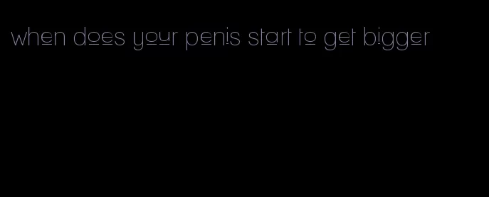 when does your penis start to get bigger