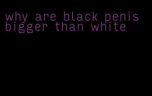 why are black penis bigger than white