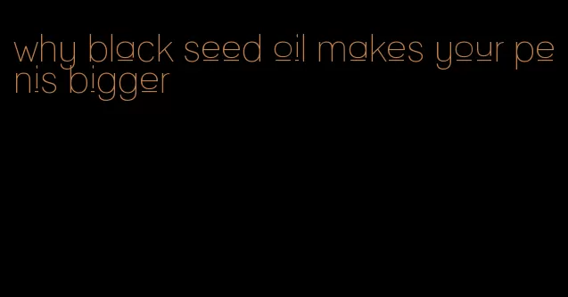 why black seed oil makes your penis bigger