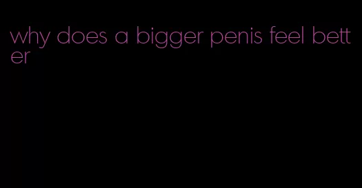 why does a bigger penis feel better