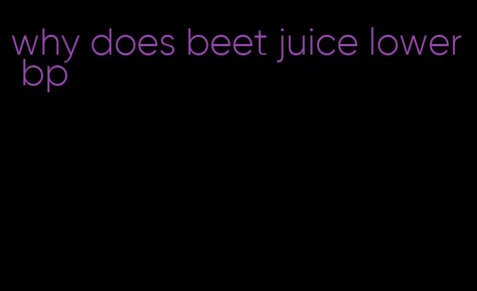 why does beet juice lower bp