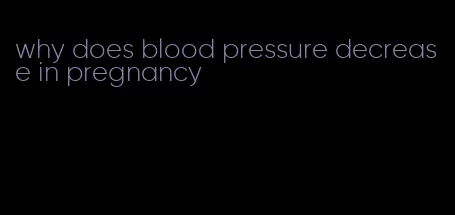 why does blood pressure decrease in pregnancy