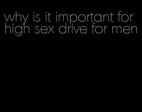 why is it important for high sex drive for men