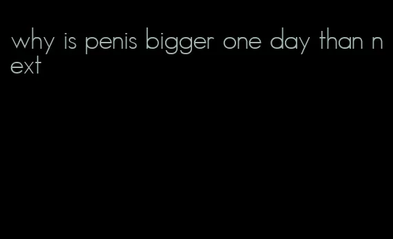 why is penis bigger one day than next