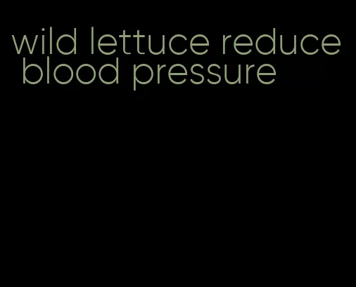 wild lettuce reduce blood pressure